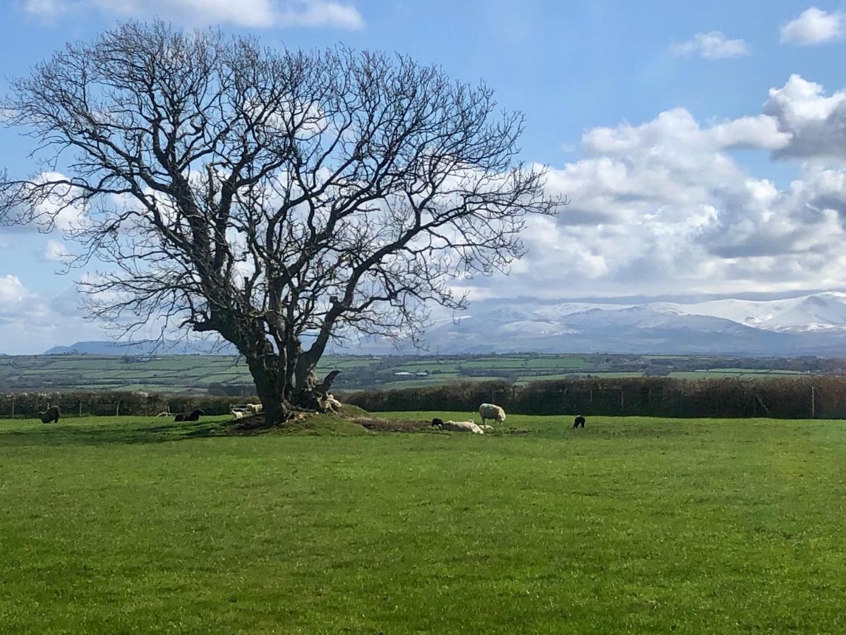 Drosgl Villa Llangefni Luaran gambar